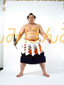 朝青龍明徳関　優勝ミニ額 大相撲ミニ額 大相撲優勝額　平成17年3月場所 優勝 横綱 朝青龍明徳関（11回目の優勝）優勝記念品 相撲グッズ 力士グッズ 相撲取りグッズ 国技館 限定品 記念品 コレクション 写真 H1703