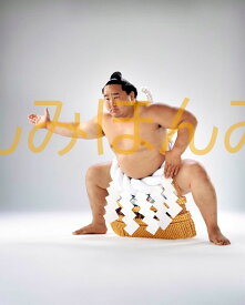 朝青龍明徳関　優勝ミニ額 大相撲ミニ額 大相撲優勝額　平成17年7月場所 優勝 横綱 朝青龍明徳関（13回目の優勝）優勝記念品 相撲グッズ 力士グッズ 相撲取りグッズ 国技館 限定品 記念品 コレクション 写真 H1707