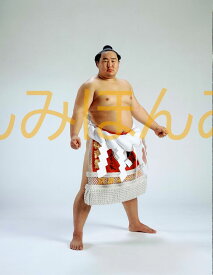 朝青龍明徳関　優勝ミニ額 大相撲ミニ額 大相撲優勝額　平成17年9月場所 優勝 横綱 朝青龍明徳関（14回目の優勝）優勝記念品 相撲グッズ 力士グッズ 相撲取りグッズ 国技館 限定品 記念品 コレクション 写真 H1709