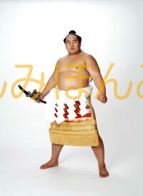朝青龍明徳関　優勝ミニ額 大相撲ミニ額 大相撲優勝額　平成18年7月場所 優勝 横綱 朝青龍明徳関（17回目の優勝）優勝記念品 相撲グッズ 力士グッズ 相撲取りグッズ 国技館 限定品 記念品 コレクション 写真 H1807