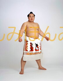 朝青龍明徳関　優勝ミニ額 大相撲ミニ額 大相撲優勝額　平成19年1月場所 優勝 横綱 朝青龍明徳関（20回目の優勝）優勝記念品 相撲グッズ 力士グッズ 相撲取りグッズ 国技館 限定品 記念品 コレクション 写真 H1901
