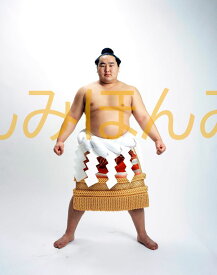 朝青龍明徳関　優勝ミニ額 大相撲ミニ額 大相撲優勝額　平成19年7月場所 優勝 横綱 朝青龍明徳関（21回目の優勝）優勝記念品 相撲グッズ 力士グッズ 相撲取りグッズ 国技館 限定品 記念品 コレクション 写真 H1907