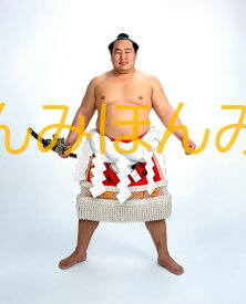 朝青龍明徳関　優勝ミニ額 大相撲ミニ額 大相撲優勝額　平成21年1月場所 優勝 横綱 朝青龍明徳関（23回目の優勝）優勝記念品 相撲グッズ 力士グッズ 相撲取りグッズ 国技館 限定品 記念品 コレクション 写真 H2101