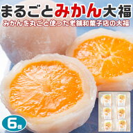 フルーツ 大福 ギフト みかん まるごと 6個入り プレゼント スイーツ 個包装 新杵堂 贈物 和菓子