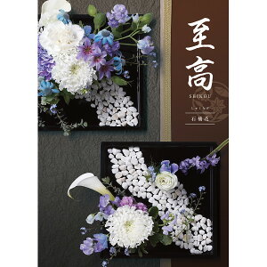 a^CṽJ^OMtgy ΓԃR[X (ႭȂ) ^ŕ10800~R[XzBeauBelle a^Cv 238002595