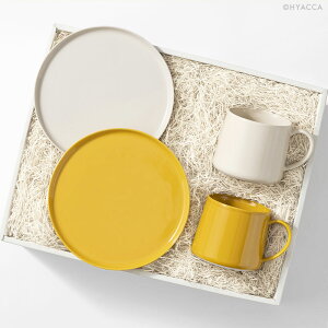 yő1000~OFFN[|zCLASKA CUP BOX / DO / CG[zCgmNXJ M[Vbv h[×HYACCAn}OJbv R[q[Jbv 350ml v[g M 18cm Vv 蕨 v[g 