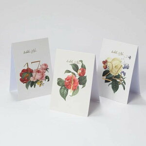 yő1000~OFFN[|z e[uio[ Botanical t[ o EFfBO  uC_ p[eB[ ꉉo  fR[V Be OB yAgp Zbgo