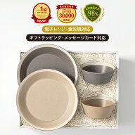 【最大1000円OFFクーポン】限定ギフトボックス イイホシユミコ×木村硝子×HYACCA プレート ボウル TABLE…