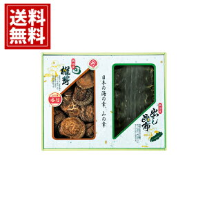 yz Y ؍Mő E z l    j Mtg yY  A j A MtgZbg Cj Ԃ v[g