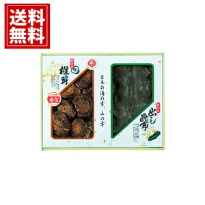 yz Y ؍Mő E z l    j Mtg yY  A j A MtgZbg Cj Ԃ v[g