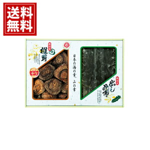 yz Y ؍Mő E z l    j Mtg yY  A j A MtgZbg Cj Ԃ v[g