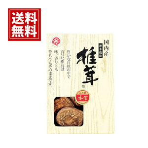 yzY ؍Mő VC^P    j Mtg yY  A j A MtgZbg Cj Ԃ v[g YS-10N3