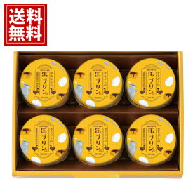 井村屋 昔ながらの缶プリン 【送料無料】 なめらか スイーツ 子供 出産祝い 会社 おもたせ お礼 お祝い 内祝い お返し プレゼント 手土産 景品 お供え 絶品 お取り寄せ おいしい