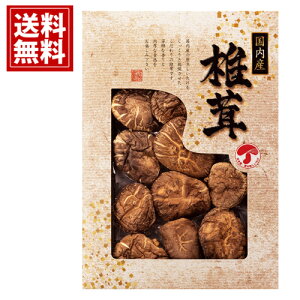 Y ǂ񂱒ő  yzTԂ VC^P    j Mtg yY  j A MtgZbg Cj Ԃ v[g JMD-20IN