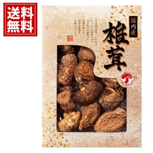 Y ǂ񂱒ő  yzTԂ VC^P    j Mtg yY  j A MtgZbg Cj Ԃ v[g JMD-25IN