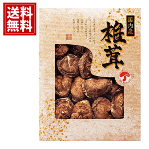 Y ǂ񂱒ő  yzTԂ VC^P    j Mtg yY  j A MtgZbg Cj Ԃ v[g JMD-40IN