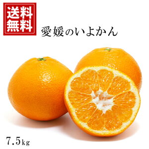 y󂠂zYn QYy8kgz悩yz