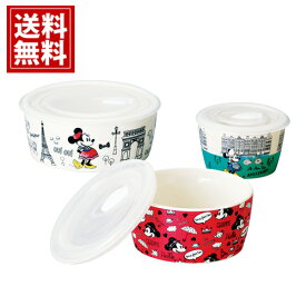 ディズニー ミッキーマウス ミニーマウス D‐MF56 レンジパック 【送料無料】 皿 プレート 食器 ギフト 内祝い 出産祝い 結婚祝い 香典返し 快気祝い 結婚内祝い 出産内祝い 引き出物 お返し 高品質 誕生日 かわいい 51911