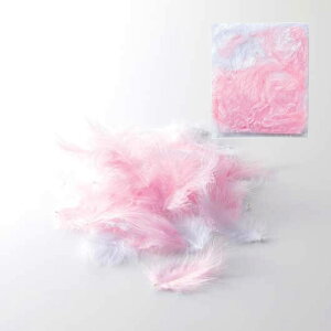 �y�N�[�|���L�z ���o�O�b�Y �t�����[�V�����[ �G���W�F���V�����[�i�s���N�^�z���C�g�j �t�����[�V�����[ ���o�O�b�Y �t�����[�V�����[ 3000�~ �l�C 2000�~�� �h�V�� �v���[���g �C�x���g �Z