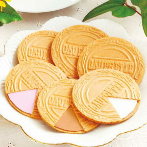 yN[|Lz  yz y20Pʁz@NS[tbg12  ̑p N 2026N v`Mtg ̑i  800~ lC 700~ hV v[g Cxg 