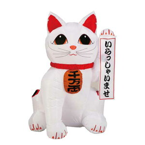 yN[|Lz ̑ yz yyz GAfBXvC@܂˂˂@125cm GAfBXvC [ ̑i GAfBXvC lC hV v[g Cxg Z[ sale