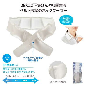 y20%OFFz v`Mtg ސE ^I yyz lbNN[[xg p^I ̑i ސE Yx 肪Ƃ [ ̑i  p^I 900~ lC 800~ hV v[g Cxg n