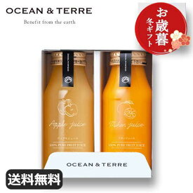 お歳暮 冬ギフト お歳暮 冬ギフト 【送料無料】 【お歳暮】ジュースセットE ジュース オーシャンテール 御歳暮 冬ギフト 結婚 出産 内祝い 香典返し 快気祝い お返し お礼 ギフトセット 詰め合わせ 敬老会 プレゼント デイ
