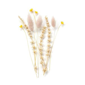 yN[|Lz YN v[g 1000~ Vygt[ix[WsNjǉpt[i10{j EFJ{[h oObY EFJ{[h 900~ lC 900~ hV v