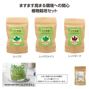 販促品 観葉植物 土なしプチ菜園栽培セット 観葉植物 販促品 観葉植物 500円 人気 500円台 敬老会 プレゼント イベント セール sale