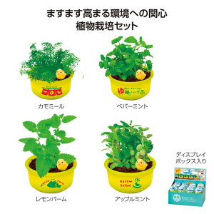 ̑i ϗtA ĂJvZ@䉱Ńn[u͔| ϗtA ̑i ϗtA 600~ lC 500~ hV v[g Cxg Z[ sale