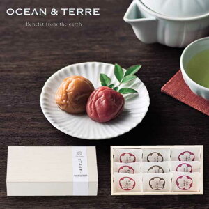 yN[|Lz Ε ~Mtg ~Zbg Ε Mtg Premium@IB썂~@9@ؔ ~Zbg I[Ve[ Ε ~Mtg  oY j TԂ Cj 