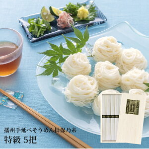 K۔T  5c MT-10K۔T Kۂ̎ ڂ̂  f  Hה Ɍ Y Mtg  蕨 v[g Ԃ j oYj Ԃ j j zj