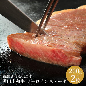 ca T[CXe[L 200g x 2 c a T[C Xe[L An Ɍ Y Mtg  蕨 v[g Ԃ j oYj Ԃ j j z