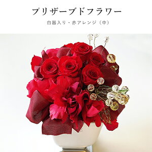 vU[uht[  ԃAW() pflower-01 Mtg  蕨 v[g Ԃ j oYj Ԃ zj Cj A  Ε N