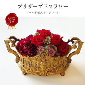 vU[uht[ S[h AW pflower-03 Mtg  蕨 v[g Ԃ j oYj Ԃ zj Cj A  Ε N