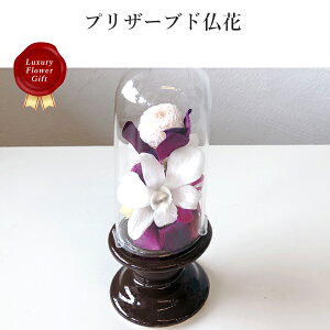 �v���U�[�u�h���� �P�[�X���� S�T�C�Y pflower-08 �M�t�g ���� ���蕨 �v���[���g ���Ԃ� ���j�� �o�Y���j�� ���Ԃ� ���z���j�� ���C�j�� �����A �@�v