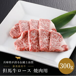 An [X ēp 300g An a [X ē Ɍ Y Mtg  蕨 v[g Ԃ j Ԃ j j zj @v җj j A  