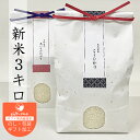 令和7年度米 新米 内祝い お返し お米 ギフト コメ 3kg 愛知県産 選べる コシヒカリ ミルキークイーン あいちのかおり お祝い返し 出産内祝い 内祝 結婚内祝い 快気祝い 入学 記念品 プレゼント お礼 景品 女性 男性 送料無料