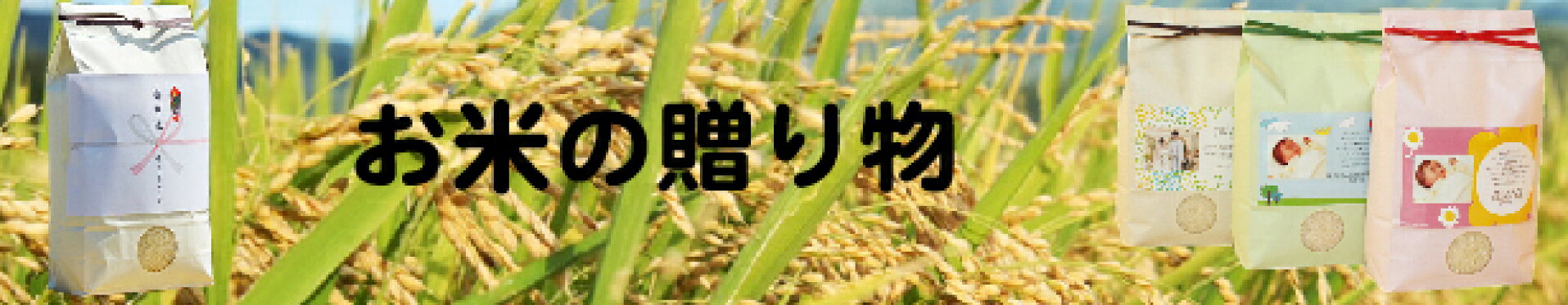 お米ギフト
