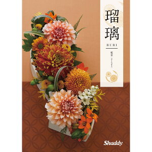 J^OMtg AY[CN 4,300~R[X ڗ