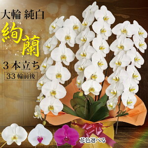 w3{xi33 Oj Ӓ3{yIׂԐF3Fz2~ Mtg v[g y B j j   蕨  ACj JXj ړ]j җj j