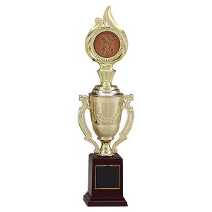 y㊮SzŗDGI DgtB[X@|CgAbvJÒ TV2007-F [tt gtB[@D ܕi ƋLO cLO TbJ[ 싅 St oXPbg{[