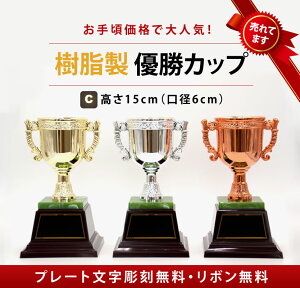 DJbv@|CgAbvJÒ y㊮SzCP104-C CP105-C CP106-C St@15cm@a6.0cm@TbJ[@싅@}\@St@@ejX@@@@gt