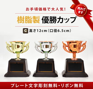 DJbv@|CgAbvJÒ y㊮SzCP190-C CP191-C CP192-C@12cm@a6.5cm@St@TbJ[@싅@}\@St@@ejX@@@@g