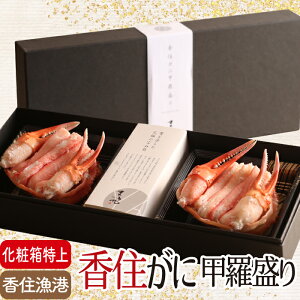 Z  b  i ϔ  ji1895j Ɍ Y I 