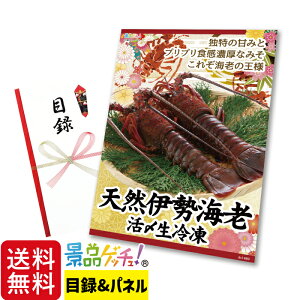 VR ɐCV YⓀ 300g×2 ii Zbg ژ^ pl Cxg VN YN  񎟉   I StRy rS Oii iiQb`I