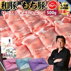y [X Ԃԁz500gZbg [X250g×2 Y  Ԃ ؓ [X uh XCX Ԃ Mtg v[g O 蕨   ̓ 