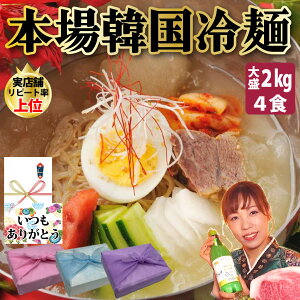 【冷麺 4食セット】麺160g スープ340g 大量スープ 本場韓国料理店 送料無料 プロが選ぶ 冷麺とスープセット 韓国食品 麺 韓国そば粉冷麺 レンミョン そば粉冷麺 れいめん お好みの具材で 母の