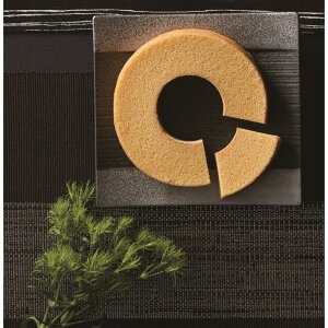 ȂďC ւJ aO~oEN[w yzoEN[w,MPP