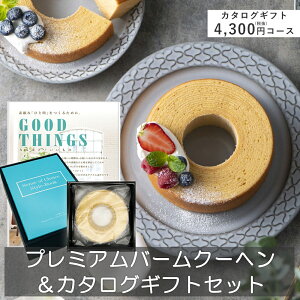 v~Ao[N[wJ^OMtgZbgij4300~R[X oEN[w J^OMtg o j j j oYj oYj Ԃ J^O َq  